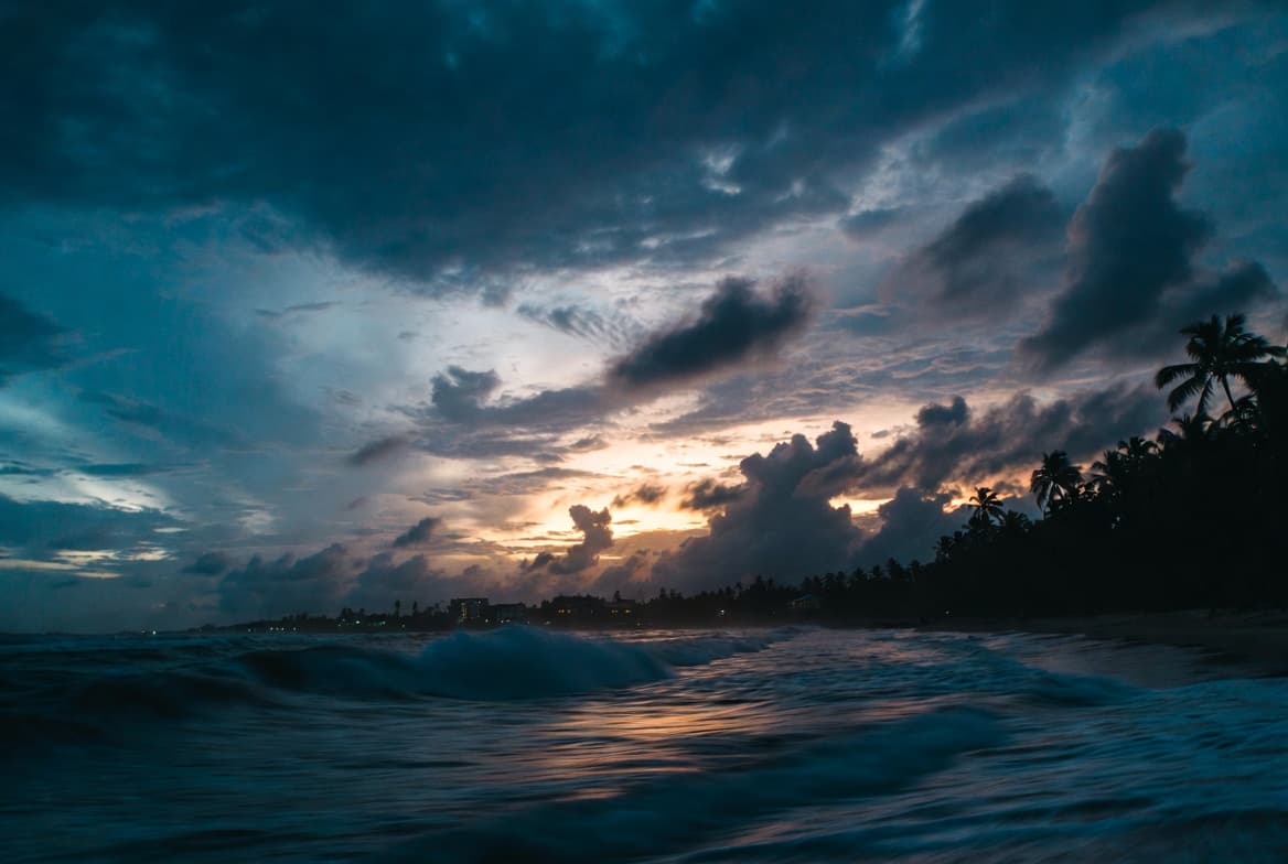 Where the Ocean
Tells a Story